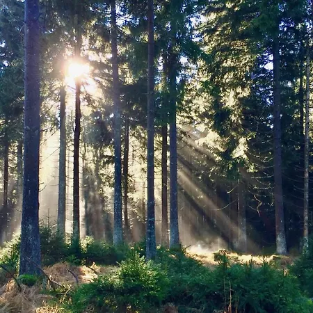 Apartmán Loft Mit Sauna
