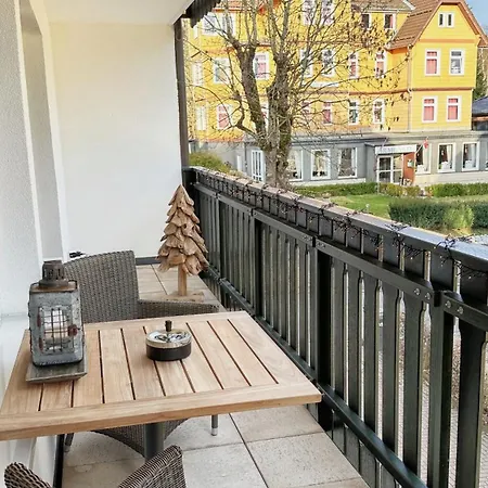 Apartmán Loft Mit Sauna Braunlage
