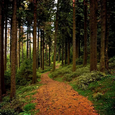 Apartmán Loft Mit Sauna