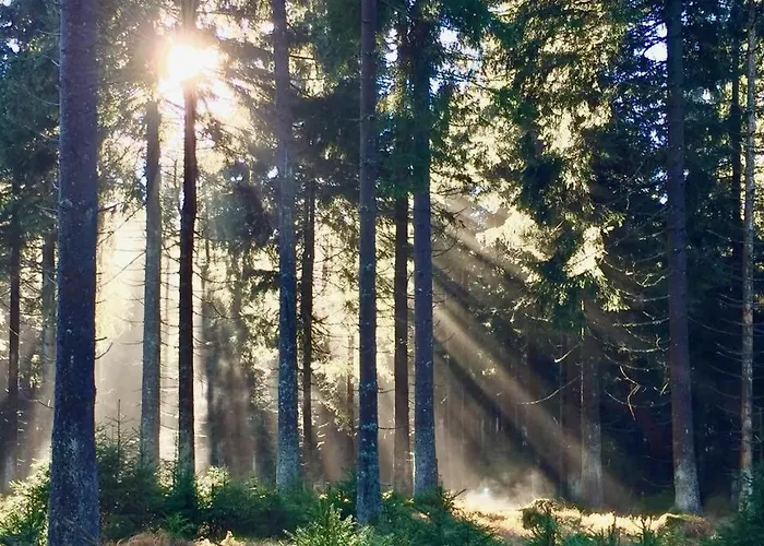 公寓 Loft Mit Sauna