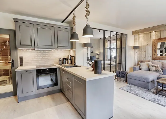 公寓 Loft Mit Sauna 布劳恩拉格