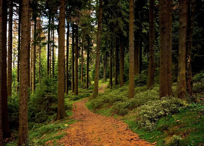 公寓 Loft Mit Sauna